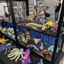 Photo of Dominion Toy Con