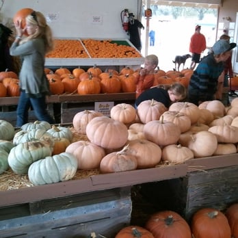 Mountain Valley Ranch - Pumpkin Patches Near Me - Ramona, California Mountain Valley Ranch - Pumpkin Patches Near Me - Ramona, California