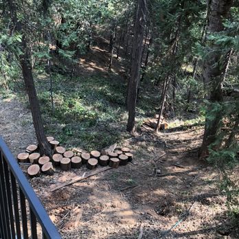 Defensible Space & Land Clearing Systems - Tree Services Near Me - Diamond Springs, California