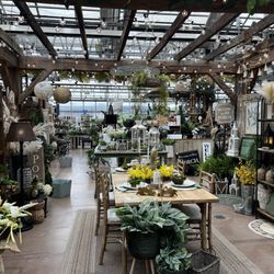 Sheiyah Market
