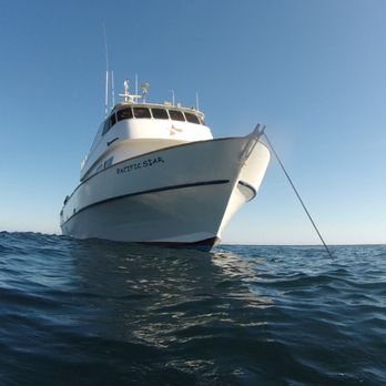 Pacific Star Dive Boat - Pacific Star boat anchored off Santa Barbara Island - Scuba Diving Near Me - San Pedro, California Pacific Star Dive Boat - Pacific Star boat anchored off Santa Barbara Island - Scuba Diving Near Me - San Pedro, California