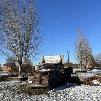 Stocker Farms - Christmas Trees Near Me - Snohomish, Washington