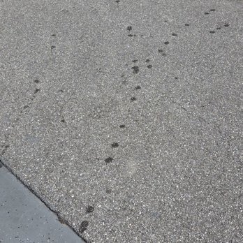 Rapid Auto Care - Oil leak - Auto Repair Near Me - Lake Park, Florida Rapid Auto Care - Oil leak - Auto Repair Near Me - Lake Park, Florida