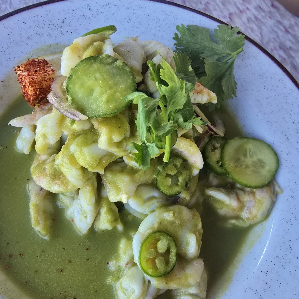Coasterra - Aguachiles - Mexican Near Me - San Diego, California