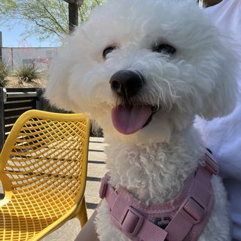 Early Birds - A Breakfast Spot - Breakfast & Brunch Near Me - Las Vegas, Nevada