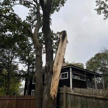 Palmer Tree Service - same - Tree Services Near Me - Framingham, Massachusetts