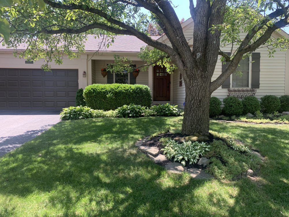 TCT Property Enterprises - tree service in Whitehall, OH