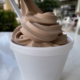 Large froyo. Probably 12-14 ounces worth. Super generous portion!