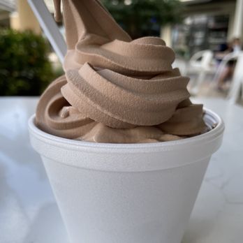 Ashdans Yogurt Cafe - Large froyo. Probably 12-14 ounces worth. Super generous portion! - Ice Cream & Frozen Yogurt Near Me - Palm Bch Gdns, Florida