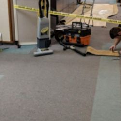 Carpet Surgeon