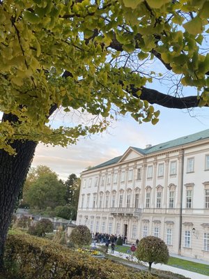 Mirabell Gardens by null