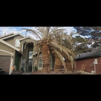 Phillip's Yard Care - Tree Services Near Me Phillip's Yard Care - Tree Services Near Me