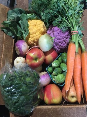 Full Circle Farm CSA by null