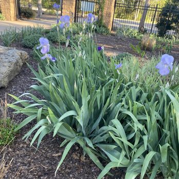 Will Rogers Gardens - Recreation Centers Near Me - Oklahoma City, Oklahoma Will Rogers Gardens - Recreation Centers Near Me - Oklahoma City, Oklahoma