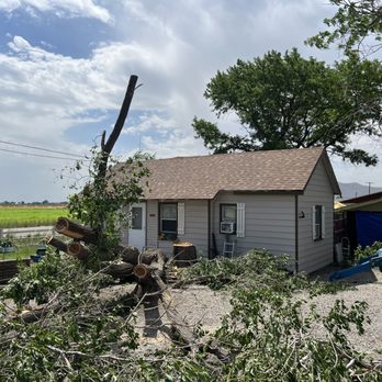 Lifetime Tree Service & Landscape - Tree Services Near Me - Alpine, Utah Lifetime Tree Service & Landscape - Tree Services Near Me - Alpine, Utah
