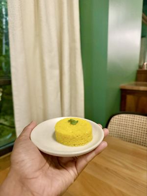 Mint Progressive Indian by null