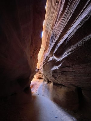 Dreamland Safari Tours by null