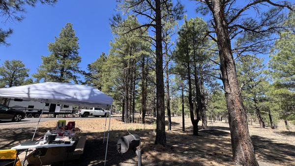 Bonito Campground by null