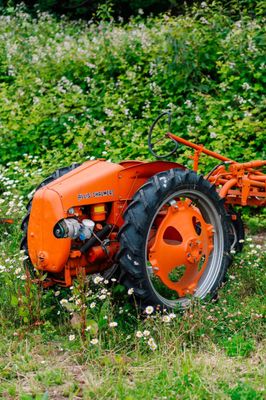 Alluvial Farms by null