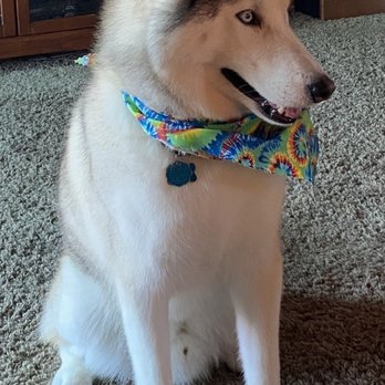 Sheldon Road Groomers - Pet Groomers Near Me - Elk Grove, California