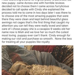 furrylicious boutique