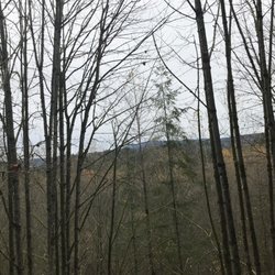 Sandy River Park