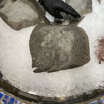 Amalfi - 2.5 pound turbot - Italian Near Me - Las Vegas, Nevada Amalfi - 2.5 pound turbot - Italian Near Me - Las Vegas, Nevada