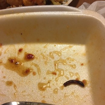 Phnom-Penh Restaurant - The cook said she couldn't confirm whether it was even a bug! DO NOT EAT HERE! - Thai Near Me - Kingston, Ontario
