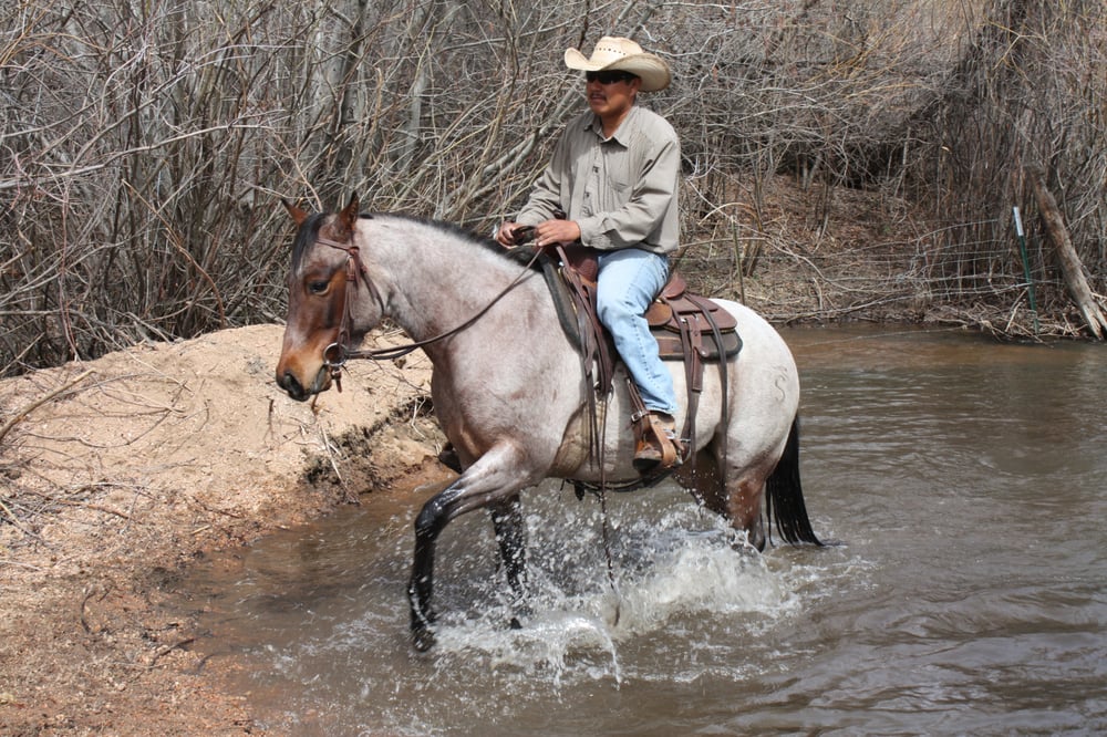 GOLD BAR RANCH Updated September 2024 4898 Jackson Creek Rd