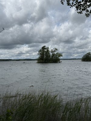 Bäckaskog Slott by null