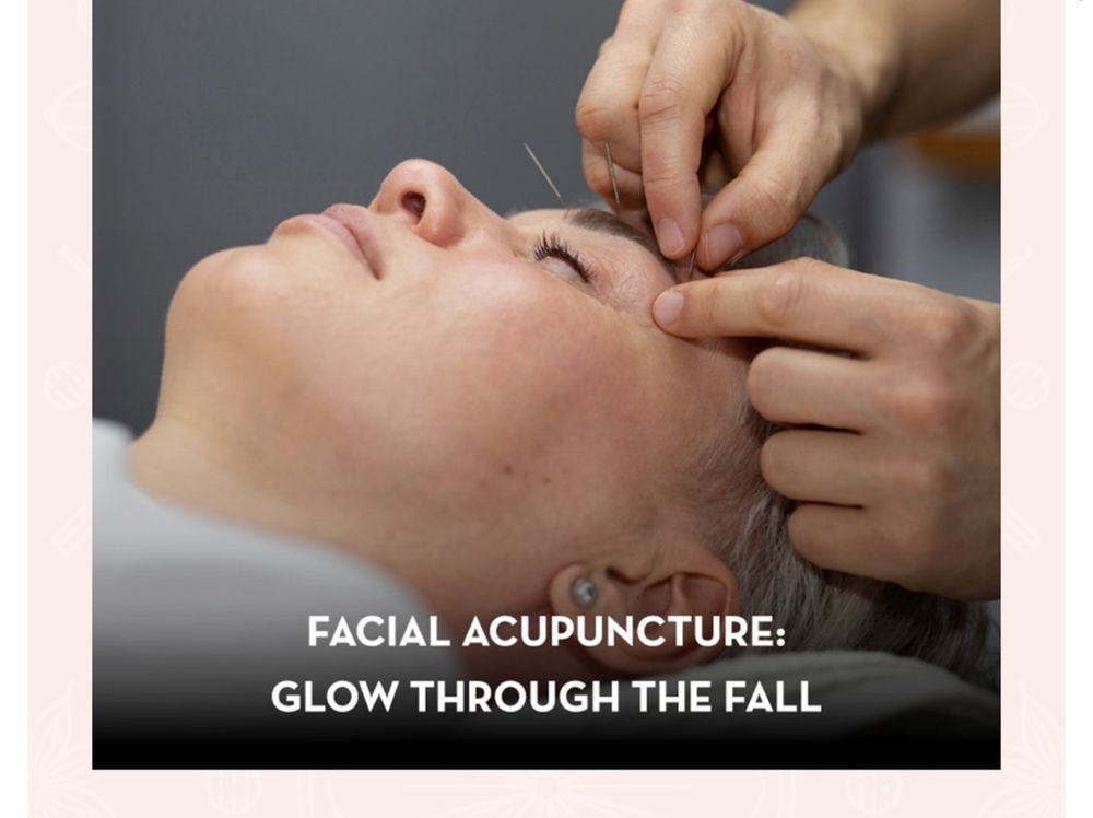 Cashion Tammy Dr Logo