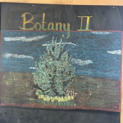 Desert Star Community School - Chalkboard art