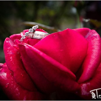Tobin Photography - Event Photography Near Me - Nevada City, California Tobin Photography - Event Photography Near Me - Nevada City, California