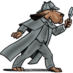 Rocky Mountain Investigative Services