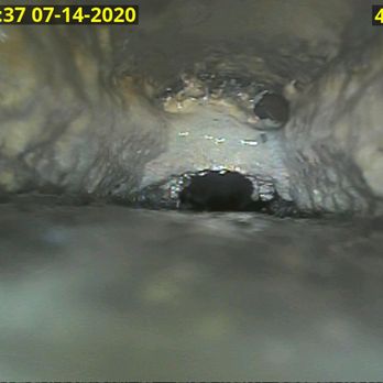 Down Low Services - Build up and Tree Roots can lead to backups. Avoid this by having the line cleaned to remove the roots - Plumbing Near Me Down Low Services - Build up and Tree Roots can lead to backups. Avoid this by having the line cleaned to remove the roots - Plumbing Near Me