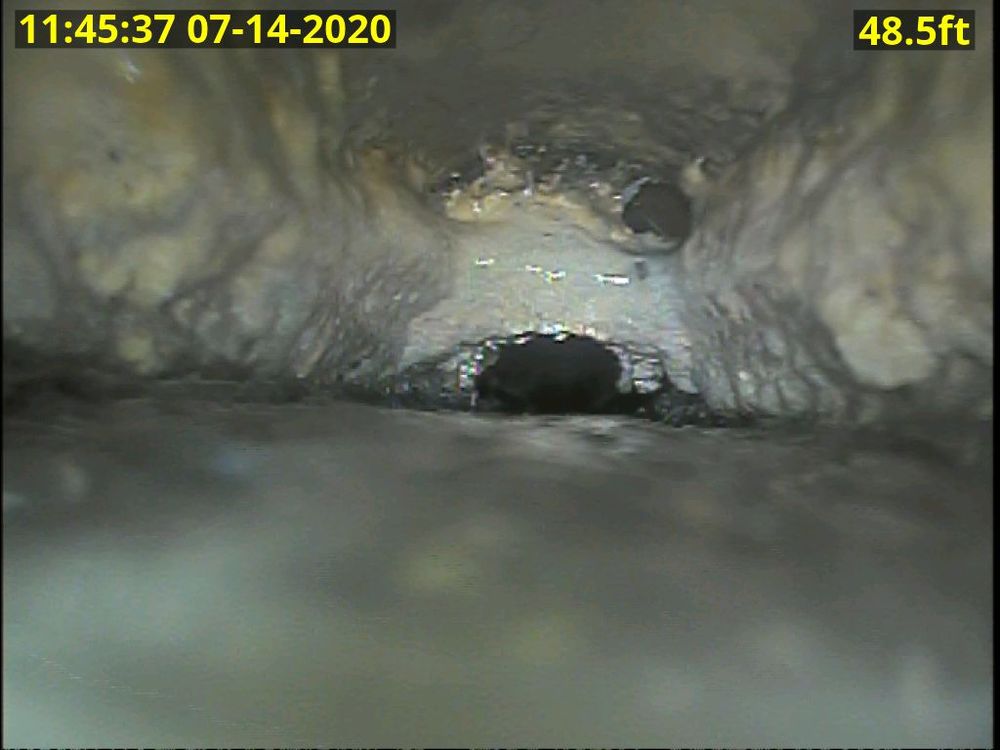 Slide of Down Low Services