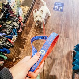 New leash!