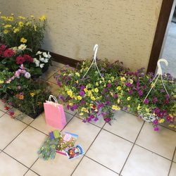 Flowers and plants for Mother's Day