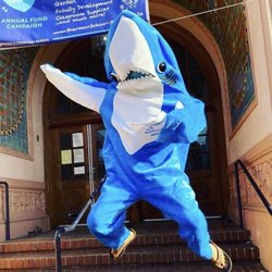 Sherman Elementary School - Sherman's school mascot