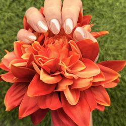 Five Star Nails & Spas - Pink chrome dip!