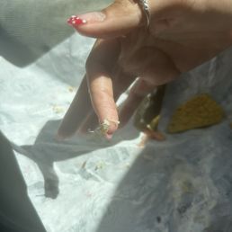 the staple from our sandwich