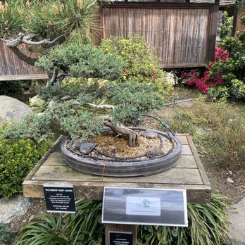 Woodward Park - A beautiful bonsai - Parks Near Me - Fresno, California Woodward Park - A beautiful bonsai - Parks Near Me - Fresno, California