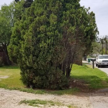4th Generation Tree - Tree Services Near Me - Templeton, California