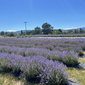 Hope Ranch Lavender - Ranches Near Me - Hood River, Oregon