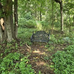 Weinberg Nature Center - A little side trail with a bench