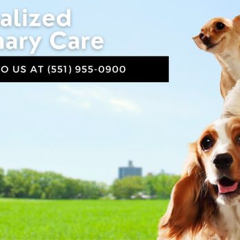 Wyckoff Veterinary Hospital - Veterinarians Near Me - Wyckoff, New Jersey Wyckoff Veterinary Hospital - Veterinarians Near Me - Wyckoff, New Jersey