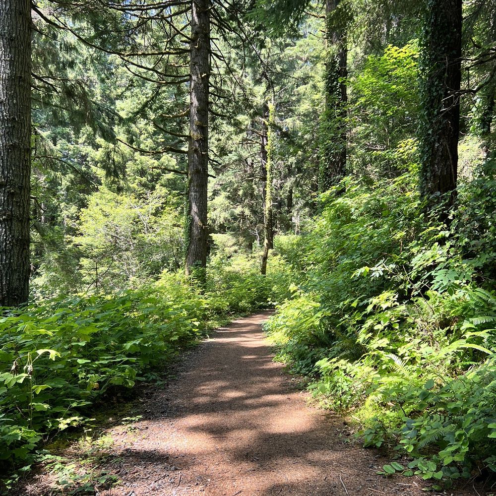 Forest Park - Forest Park Newport - trail beyond the water towers - Hiking Near Me Forest Park - Forest Park Newport - trail beyond the water towers - Hiking Near Me