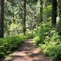 Photo of Forest Park