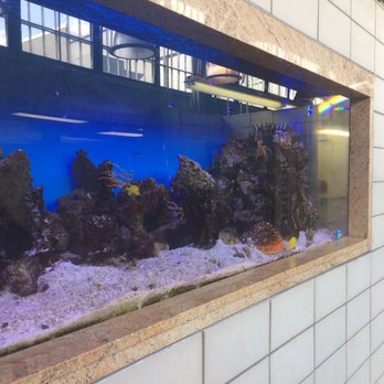 City Fish Market - The inside beautiful fish tank - Seafood Markets Near Me - Wethersfield, Connecticut