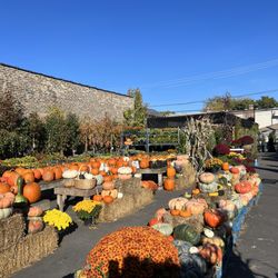 Fertile Garden Center